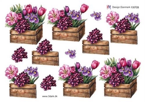 3D Forårsblomster i kasse